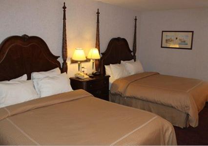 Queen Room Two Queen Beds Lake View,147336938:JPEG
