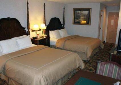 Queen Room Two Queen Beds Lake View,147336935:JPEG