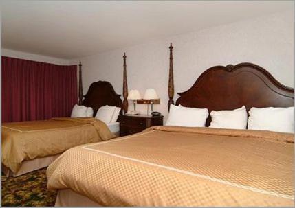 Queen Room Two Queen Beds,147336938:JPEG