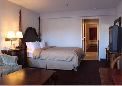Two-Bedroom Suite Sofa Bed,290280704:JPEG