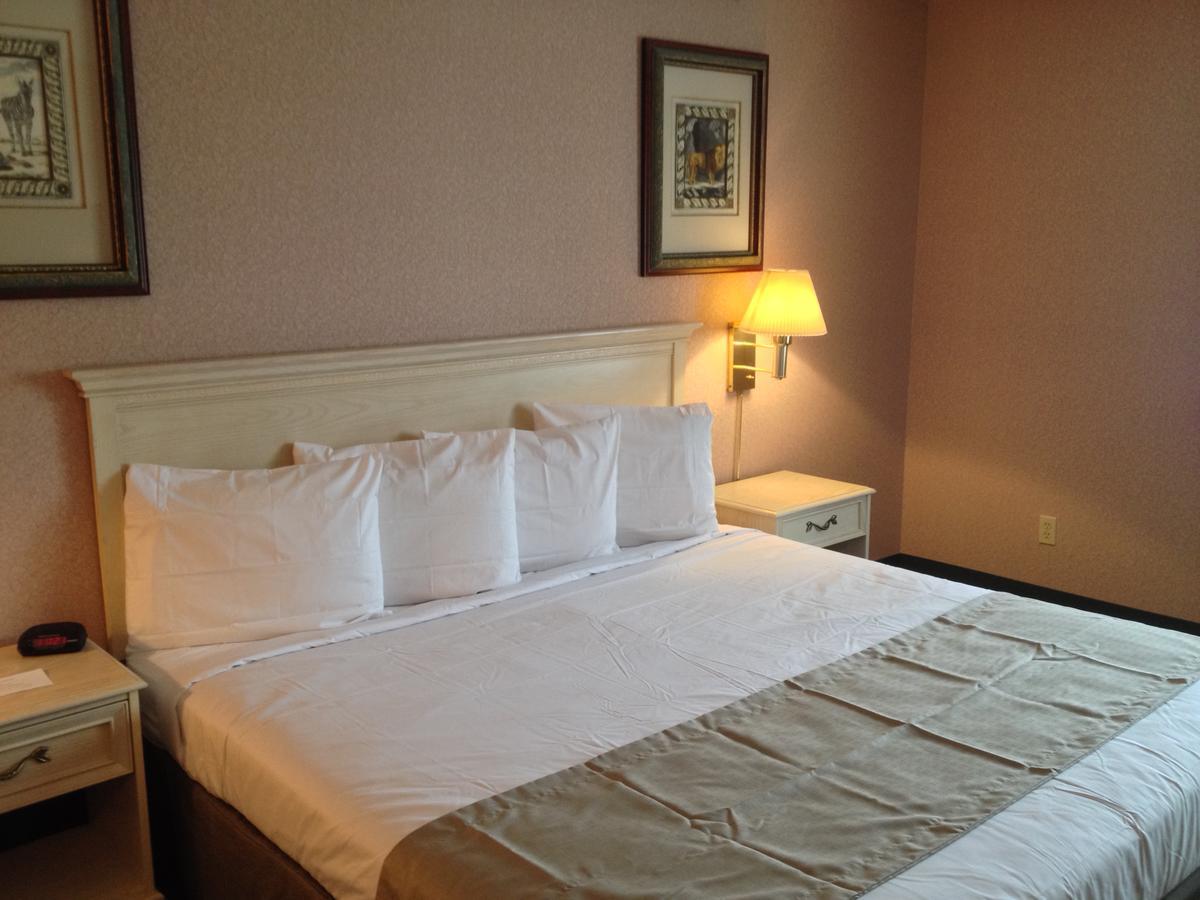 Lake Park View or Two queen beds,1256121124:JPEG