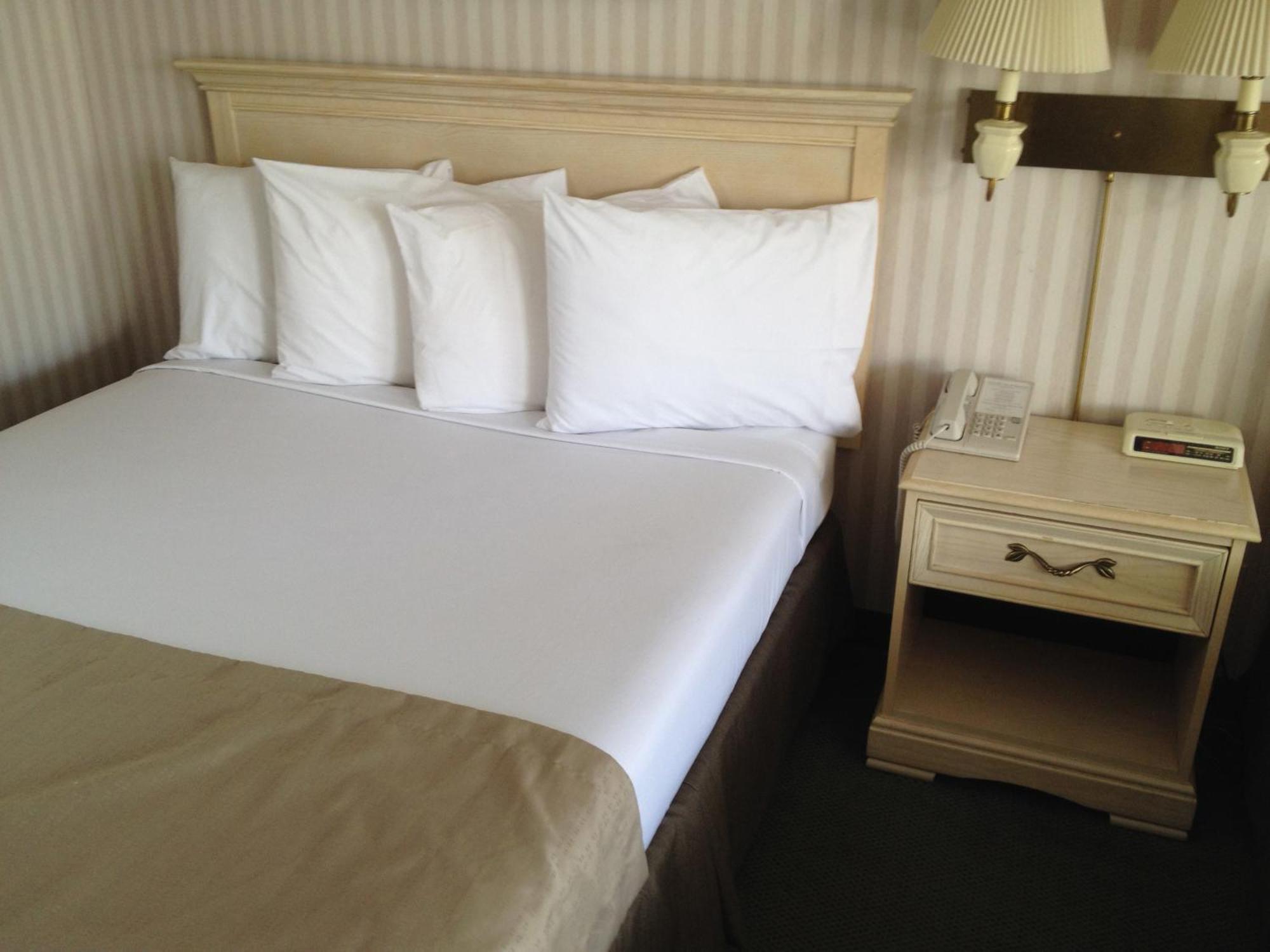 Standard Queen Room,1218191695:JPEG